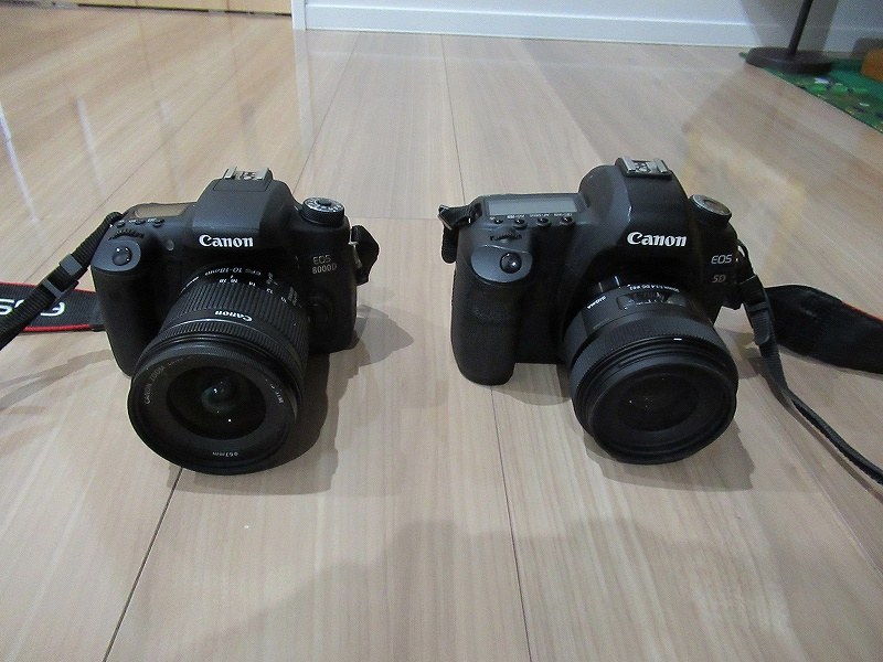 床に置かれた一眼レフカメラ二台